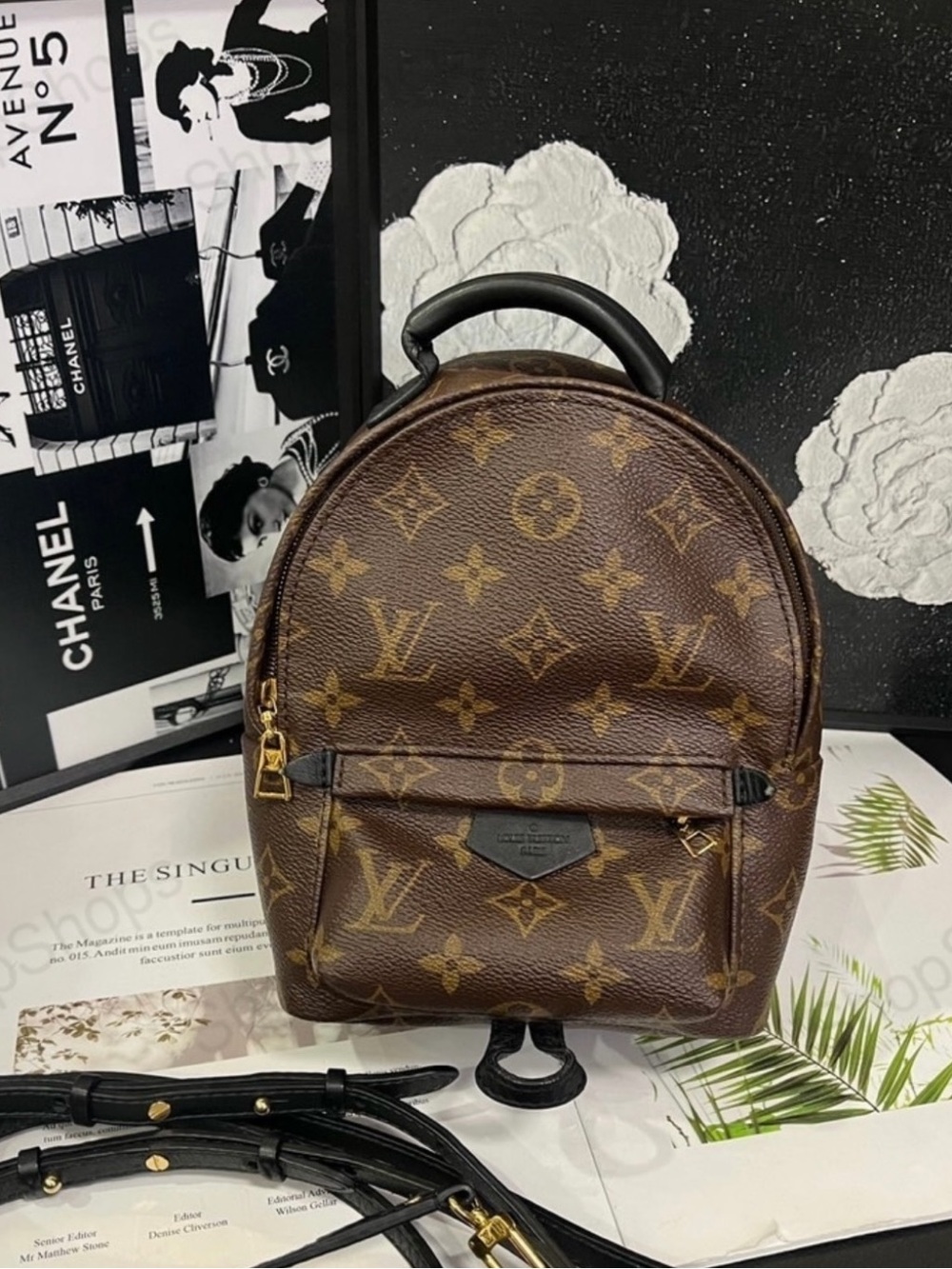 Louis Vuitton Monogram Palm Springs Mini